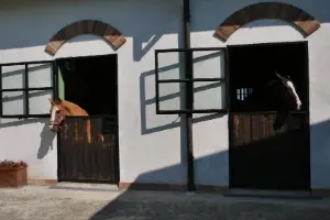 Gestione del cavallo nei mesi autunnali
