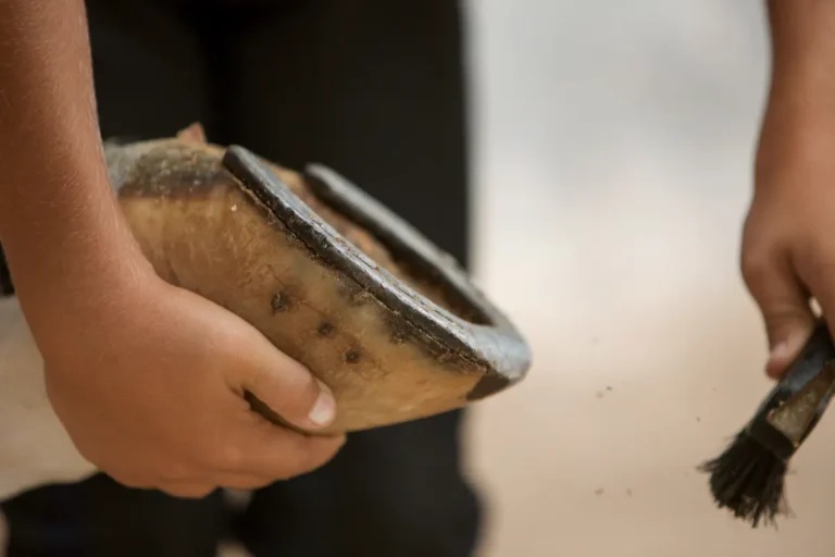 Piede del cavallo
